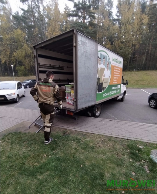 Грузовое такси услуга