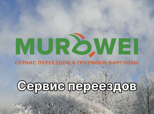 Квартирный переезд в Минске: почему низкая це на - это риск, а опыт команды - ваша гарантия